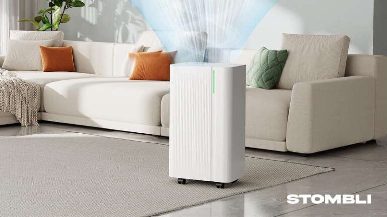 Scopri di più sull'articolo EUHOMY Deumidificatore 12L/24H  Recensione