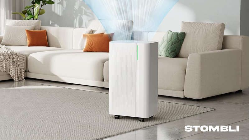 Scopri di più sull'articolo EUHOMY Deumidificatore 12L/24H  Recensione