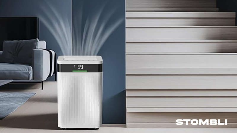 HAUSHOF Deumidificatore Elettrico 20L/Giorno Recensioni