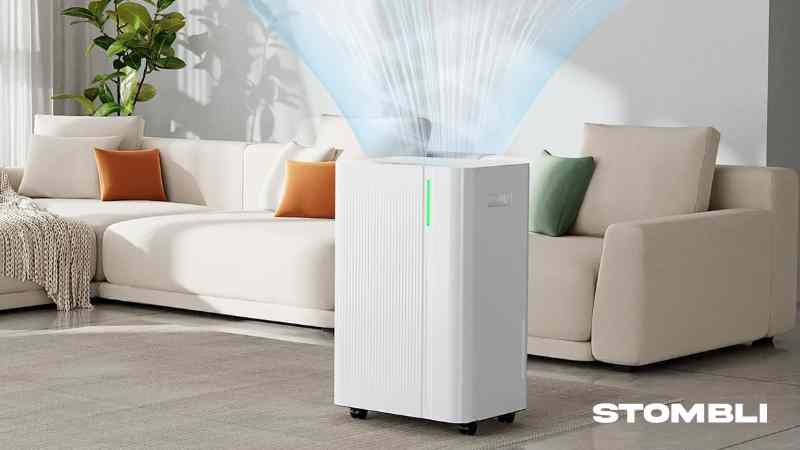 Scopri di più sull'articolo EUHOMY 20L/24H Deumidificatore Casa Recensione